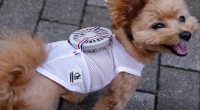 Dogs and cats get wearable fans to beat Japan's scorching summer